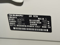 森林人 图片