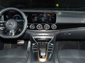 奔驰AMG GT AMG GT 50四门跑车2022款
