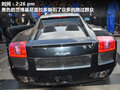 Gallardo 图片