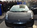 Gallardo 图片
