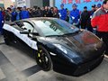 Gallardo 图片