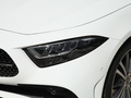 奔驰CLS CLS 300动感型2022款