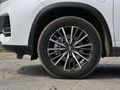 瑞虎8 PLUS新能源 PHEV1.5T風(fēng)范e+2022款