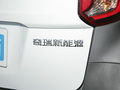 小蚂蚁 图片