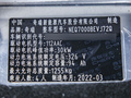 小蚂蚁 图片