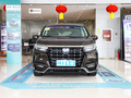 艾力紳 2.0L 混動豪華先享版2022款