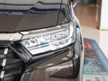 艾力紳 2.0L 混動豪華先享版2022款