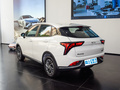 哪吒V 潮 300Lite2022款