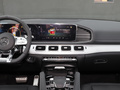 奔驰GLE AMG AMG GLE 53 4MATIC+皓夜特别版2022款