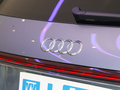 奥迪Q4 e-tron 图片