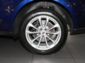 Macan 图片