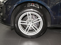 Macan 图片