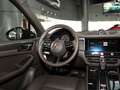 Macan 图片