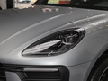 Macan 图片