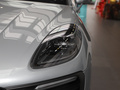 Macan 图片