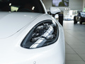 Panamera新能源 Panamera 4 E-Hybrid 鉑金版2.9T2023款