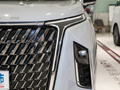 上汽大通MAXUS G90 图片
