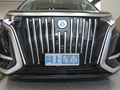 騰勢D9 EV 600四驅(qū)旗艦型2022款