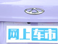 小蚂蚁 图片