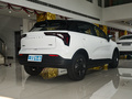 吉利幾何E 401KM 玲瓏虎4座2022款