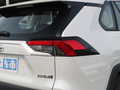 RAV4榮放 圖片