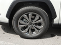 RAV4荣放 图片