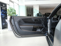 Mustang 5.0L V8 DarkHorse2024款