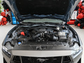 Mustang 5.0L V8 DarkHorse2024款