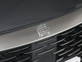 唐新能源 DM-p 215KM四驱旗舰型2022款