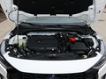 福克斯 兩廂 EcoBoost 180自動(dòng)競(jìng)速版2022款