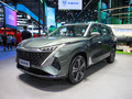 榮威RX9 試裝車(chē)2023款