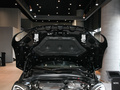 MINI COUNTRYMAN 图片
