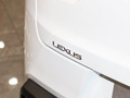 雷克萨斯UX 图片