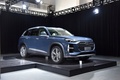 奧迪Q6 40 TFSI quattro 觀云型 Light飛騎套裝2022款