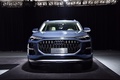 奧迪Q6 40 TFSI quattro 觀云型 Light飛騎套裝2022款