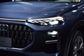 奧迪Q6 40 TFSI quattro 觀云型 Light飛騎套裝2022款