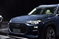 奧迪Q6 40 TFSI quattro 觀云型 Light飛騎套裝2022款
