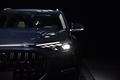 奧迪Q6 40 TFSI quattro 觀云型 Light飛騎套裝2022款