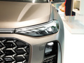 奥迪Q6 40 TFSI quattro 观云型飞骑套装2023款