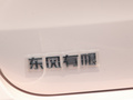 小虎 图片