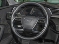奧迪e-tron(進口) Sportback 55 quattro臻選型2022款