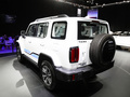 坦克300 HEV 基本型2024款