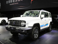坦克300 HEV 基本型2024款