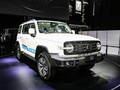 坦克300 HEV 基本型2024款