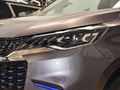 大家5 1.3T PLUG IN 智享版七座2024款