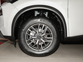 奇骏 VC-Turbo 300 CVT2WD星月限定版2022款