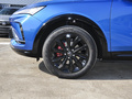昂揚 1.5T GS潮燃版2022款
