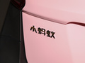 小蚂蚁 图片