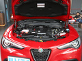 Stelvio斯坦維 2.0T 280HPTi駕控版2023款