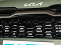 狮铂拓界 2.0L HEV两驱旗舰版2023款